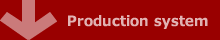 production system