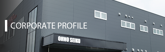 Corporate profile