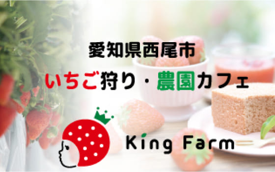 愛知県西尾・岡崎のいちご狩り